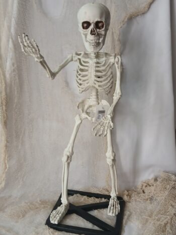 Skeleton on stand