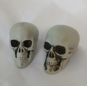 Small skull decor