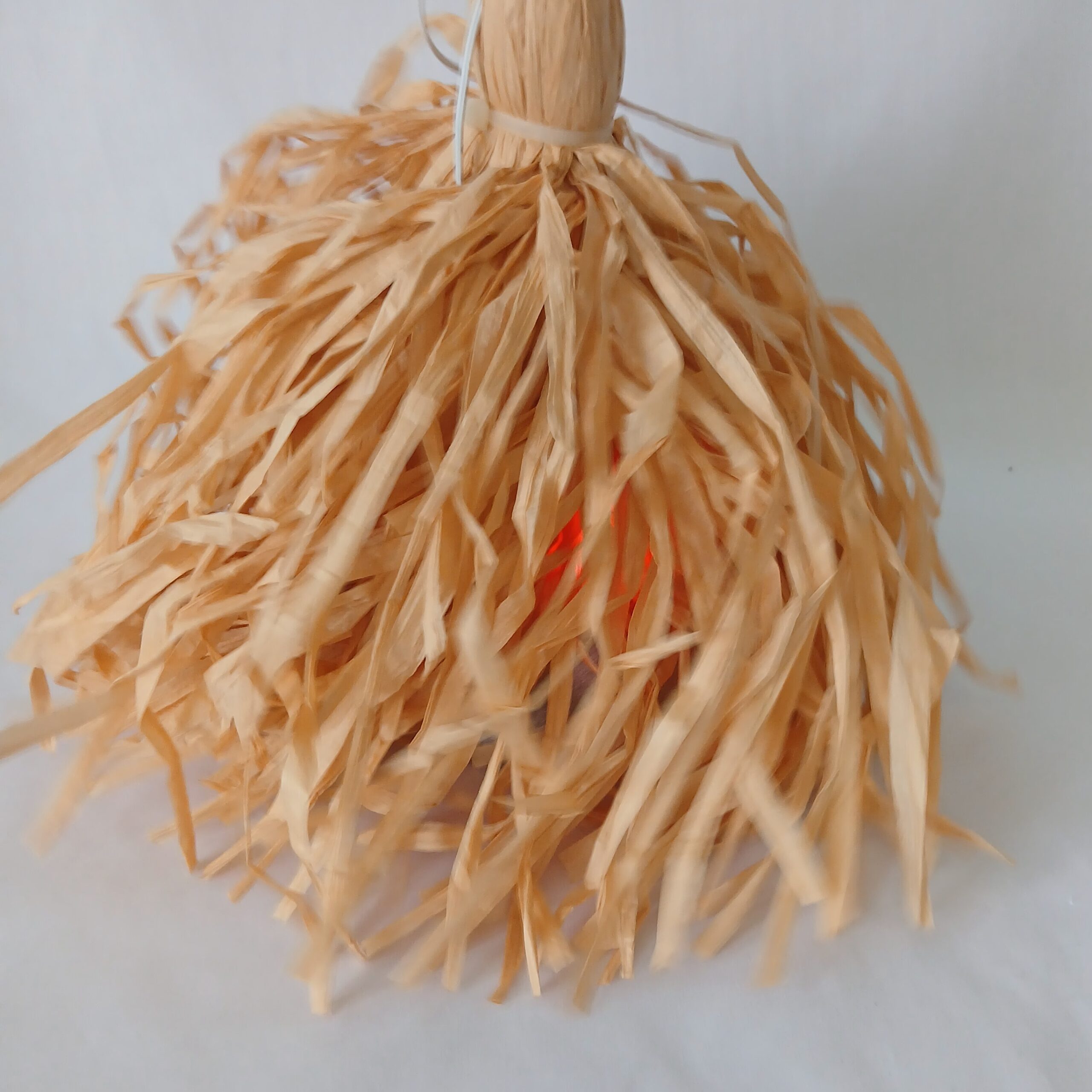 Animated broom