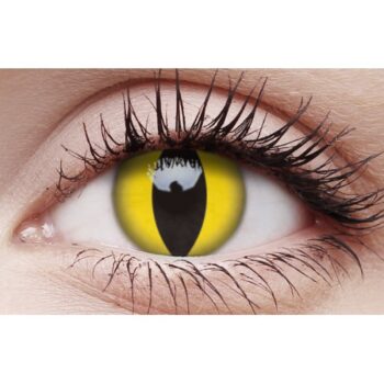 Crazy lenses cat's eye